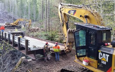 How Can You Construct a Road Safely Through a Swamp?